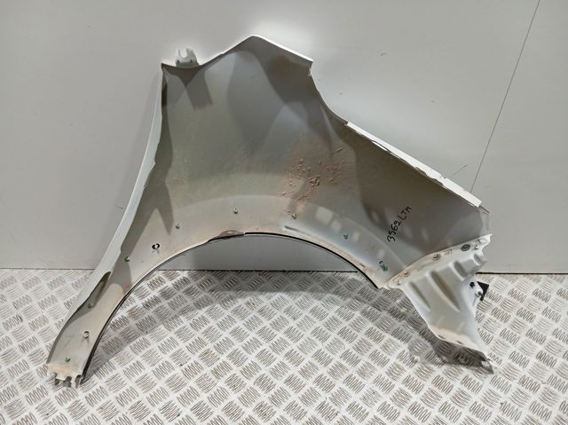 Pára-lama dianteiro esquerdo 9812869080 Peugeot/Citroen