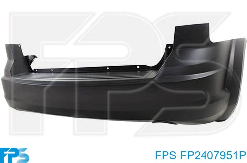  FPS FP2407951P