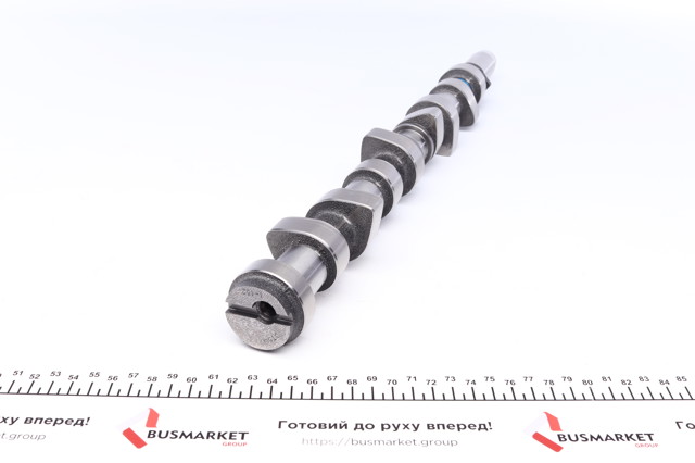 669851 AMC Árvore distribuidora de motor