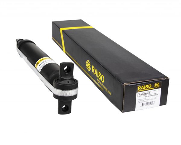  Raiso RS283081