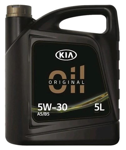 Óleo para motor LP0425W30A5B505K Hyundai/Kia