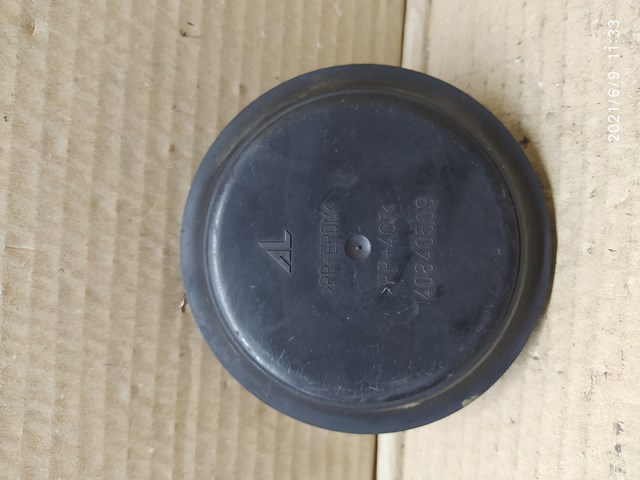 Compre 40840509 Peugeot/Citroen Luz direita