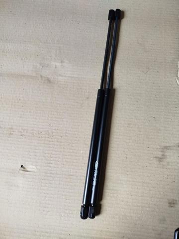 Amortecedor de tampa de porta-malas (de 3ª/5ª porta traseira) Magneti Marelli GS0143