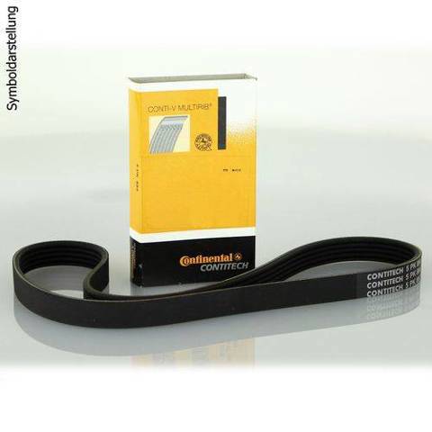 6PK962 Continental/Siemens Correia dos conjuntos de transmissão