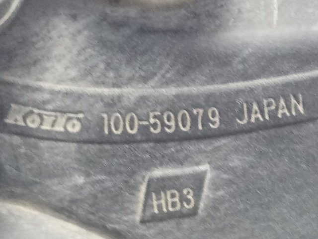  10059079 Suzuki