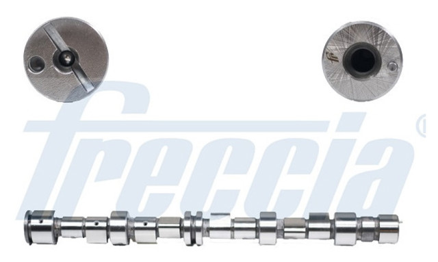 Compre A3171006010 ZAZ Árvore distribuidora de motor