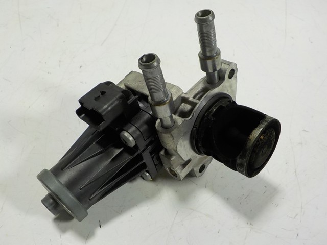 Válvula EGR de recirculação dos gases Peugeot/Citroen 9813064280