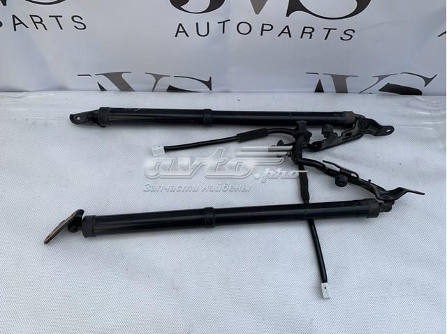 Compre 6891049065 Toyota Amortecedor de tampa de porta-malas (de 3ª/5ª porta traseira)