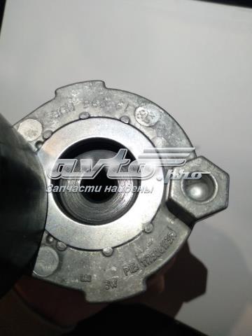 117506193R Renault (RVI) Reguladora de tensão da correia de transmissão