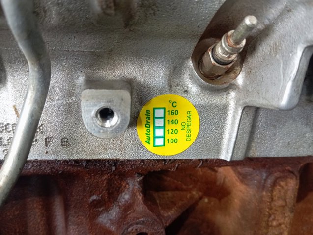 Motor montado BJFB Ford