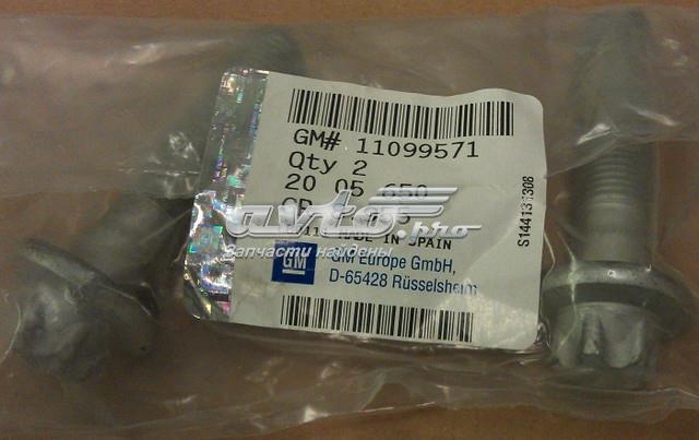 Parafuso de fixação de amortecedor traseiro 11099571 General Motors