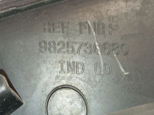  Peugeot/Citroen 9825736680