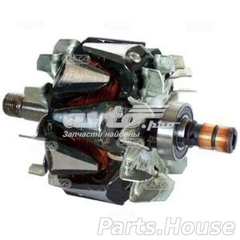 231256 Cargo Induzido (rotor) do gerador