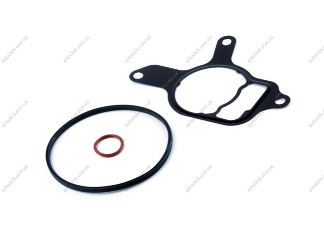 Kit de reparação da bomba de vácuo AND 30845002