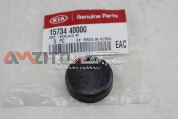 1573440000 Hyundai/Kia Tampão CBC/do bloco de cilindros