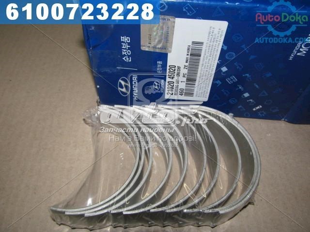 2102045020 Hyundai/Kia Folhas inseridas principais de cambota, kit, padrão (STD)