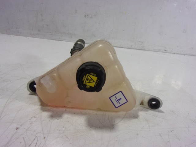 Compre 50532261 Fiat/Alfa/Lancia Tanque de expansão do sistema de esfriamento